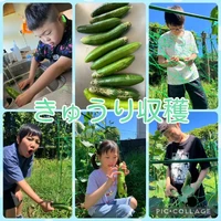 画像450