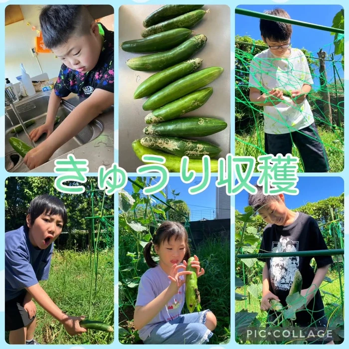 画像450